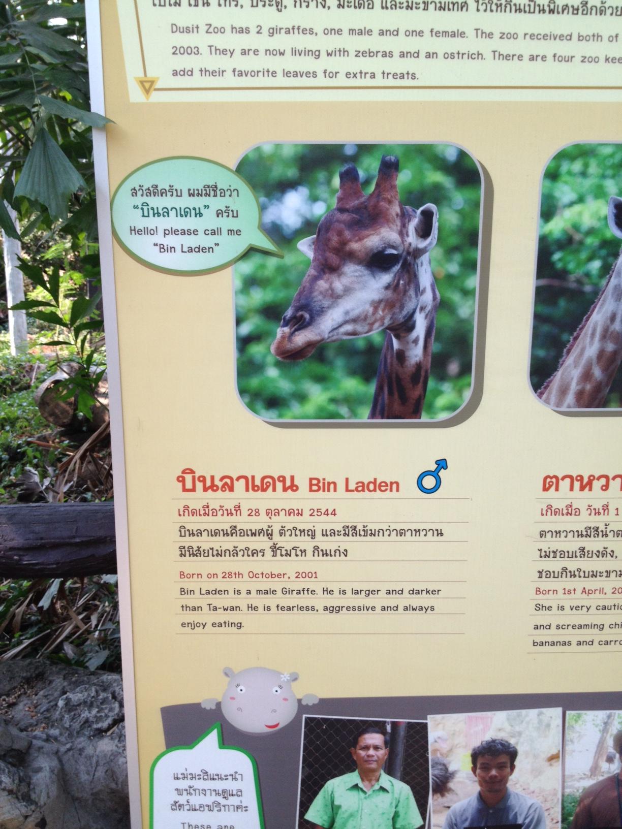 In late 2001 a giraffe was born at Bangkok Zoo. Want to guess what it was named?