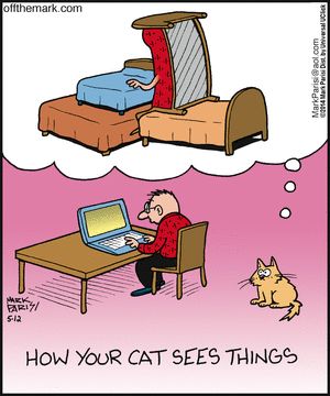 How your cat sees things.