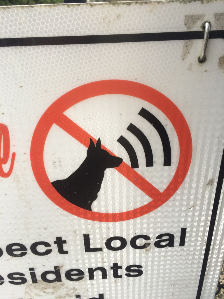 Dogs MAY NOT give off wifi