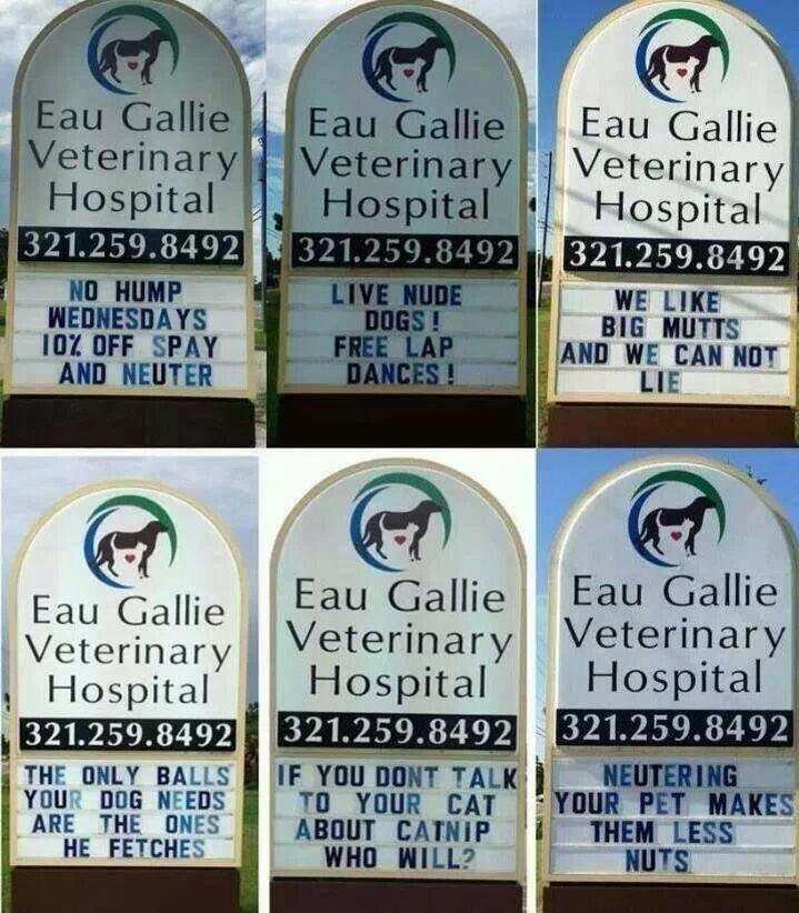 The Vet Marquee is Clever