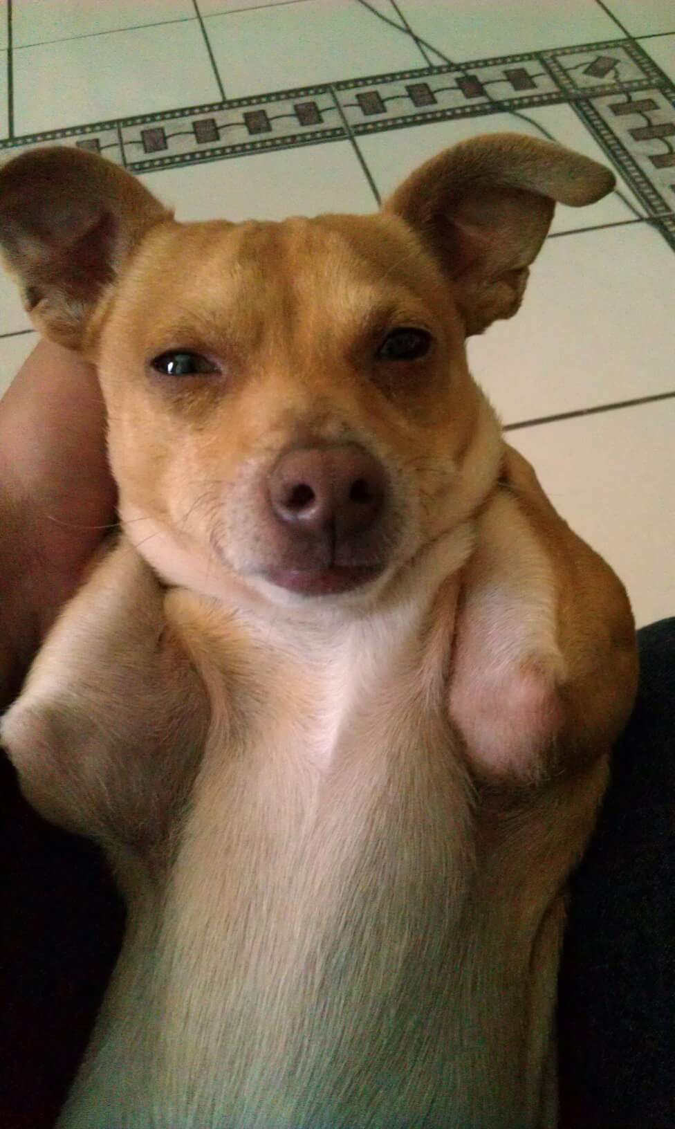 Girl look at that body..