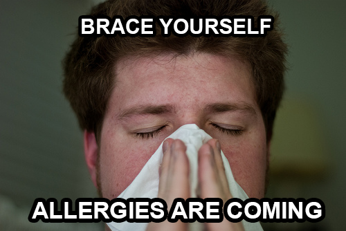 Allergies are coming