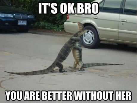 A friend when you need one...