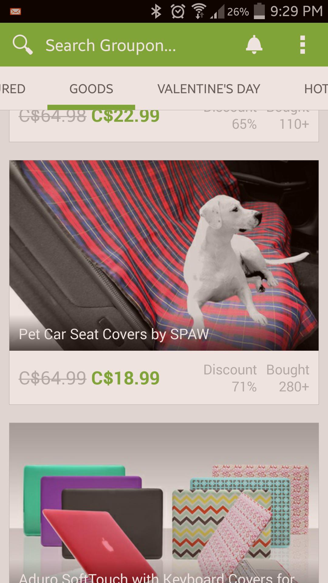 That dog looks comfy
