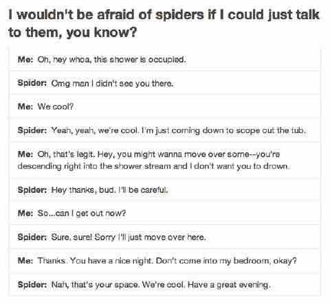 Talking Spiders