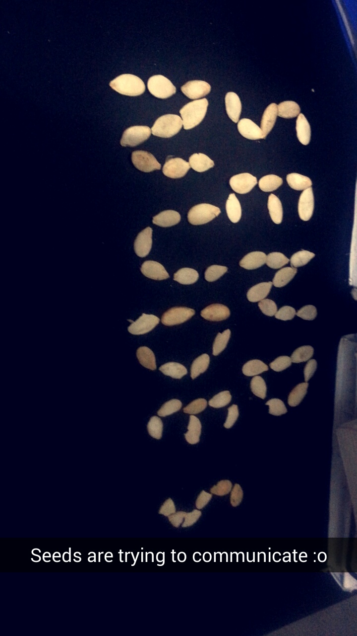 The seeds i ate are trying to communicate
