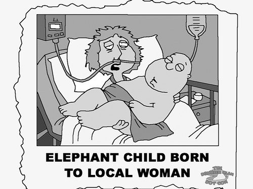 After hearing about the 14 pound baby being born in Florida, immediately though this