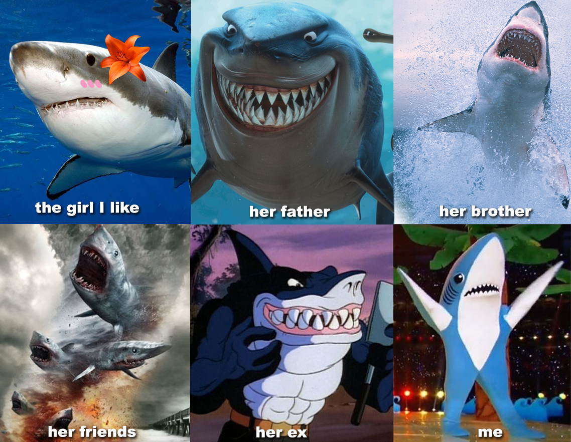 Shark romance isn't easy