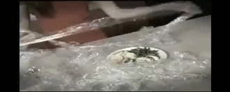 Karen quickly became too deeply in-tangled in her web of lies.