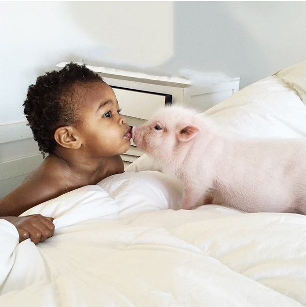 A niglet with her piglet