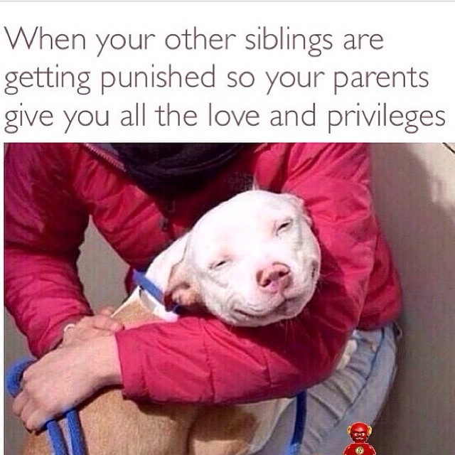 I don't even have siblings