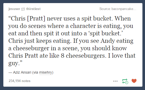 Chris Pratt = Andy Dwyer
