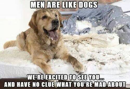 Men & dogs