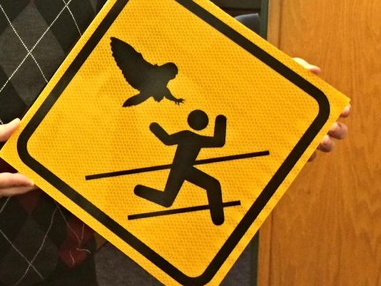 An Oregon city posted these signs after recent owl attacks