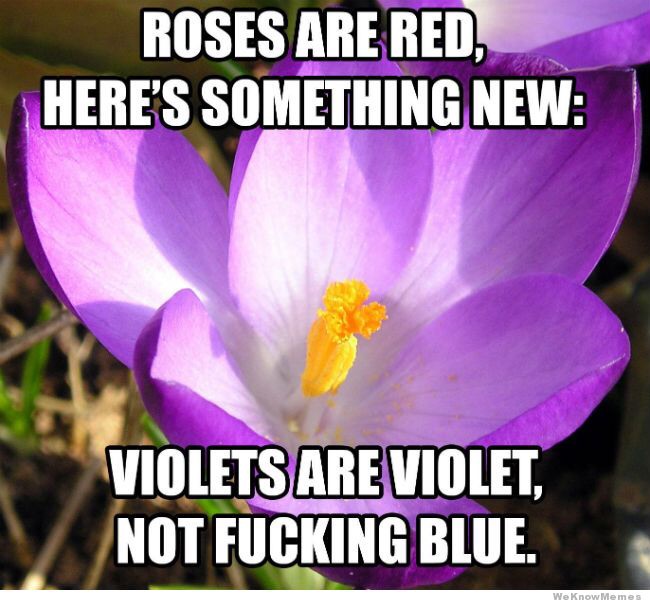 For those who still writes that violets are blue.