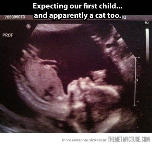 Expecting our first child