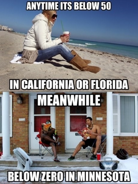 California vs Minnesota