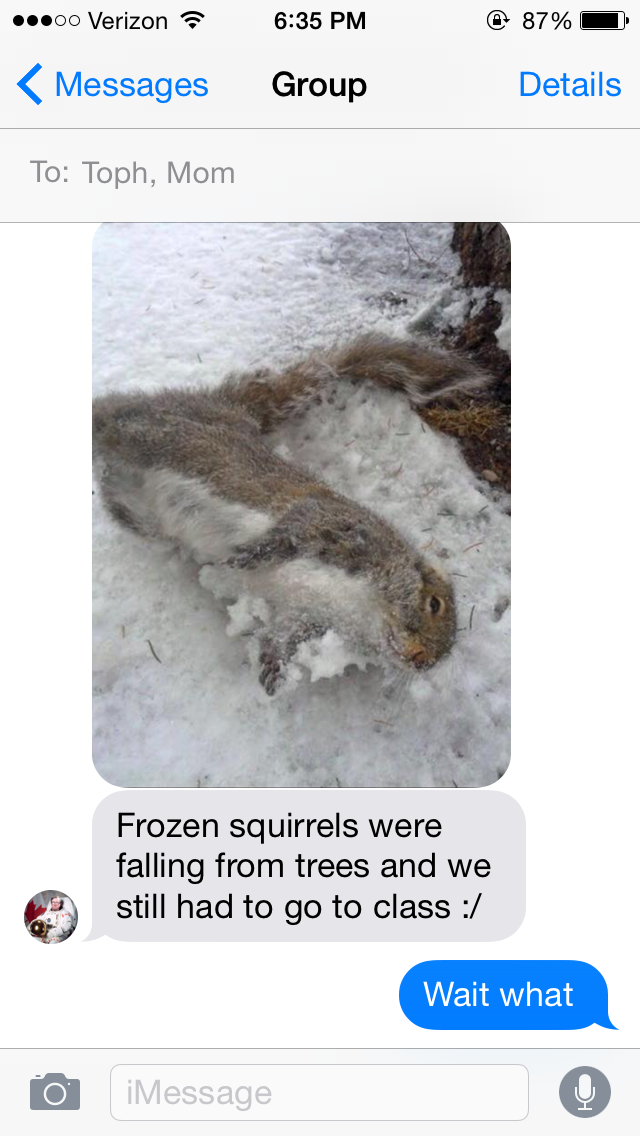 Squirrel popsicles for the poor , always look at the brightside