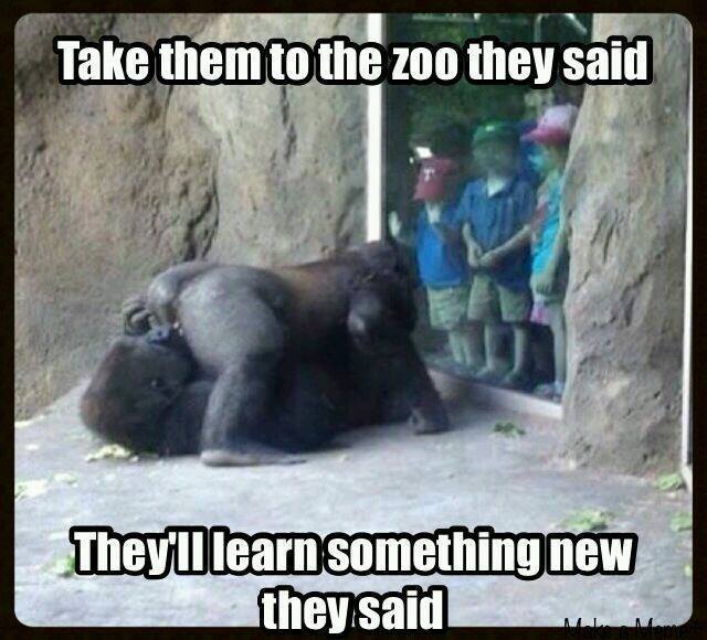 Don't Take your sons to zoo for this reason