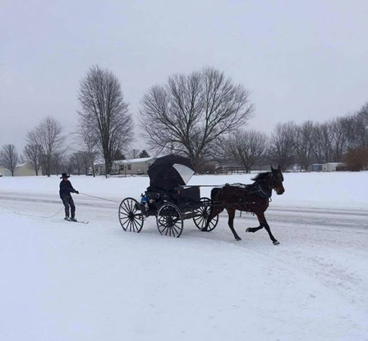 Amish wintersports
