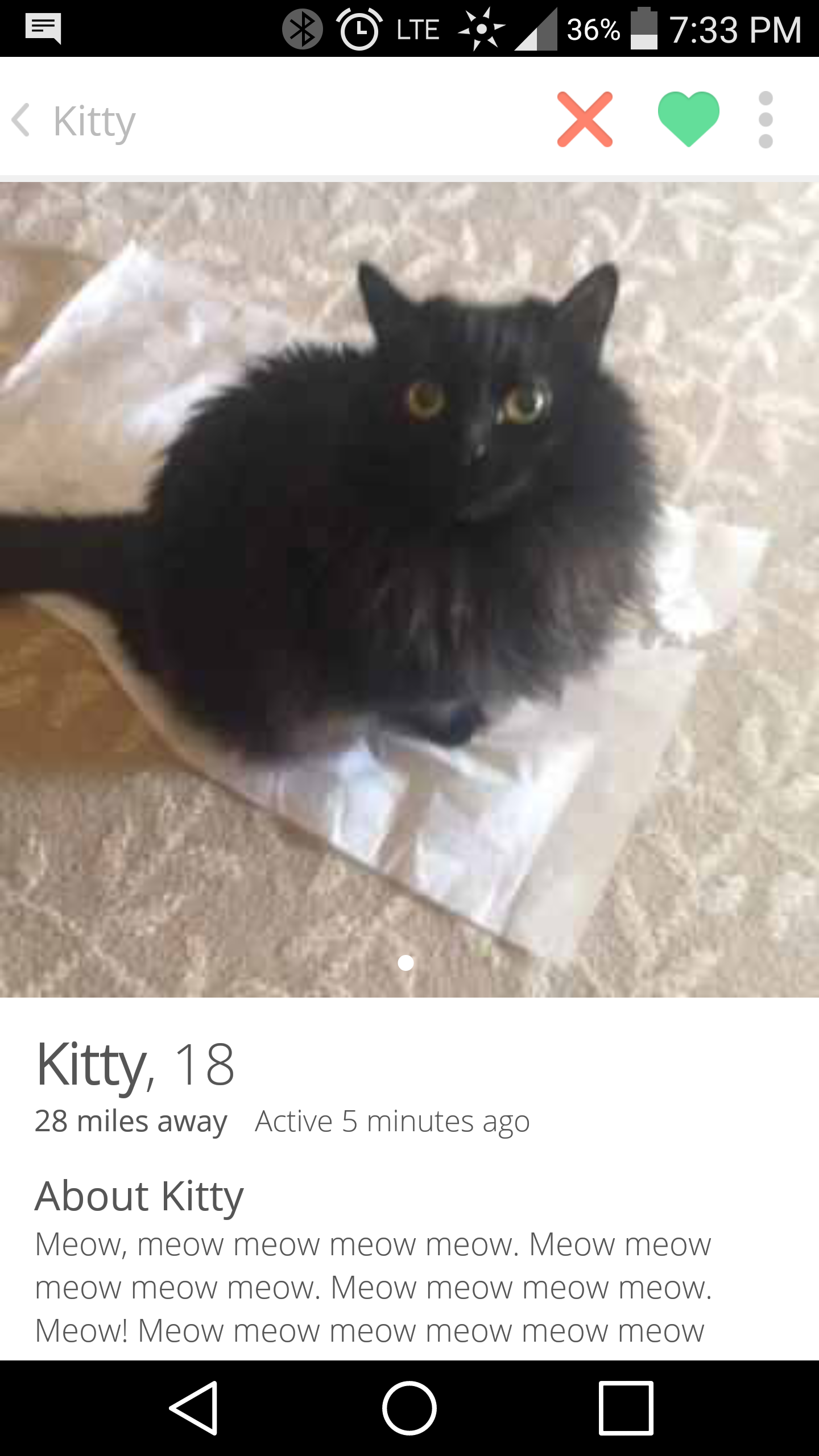 Swipe right meow
