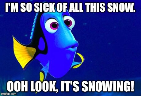 As a native New Englander, this is how I've been feeling lately.