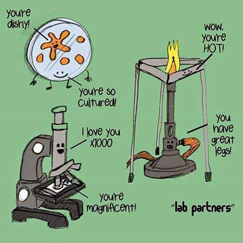 Lab partners