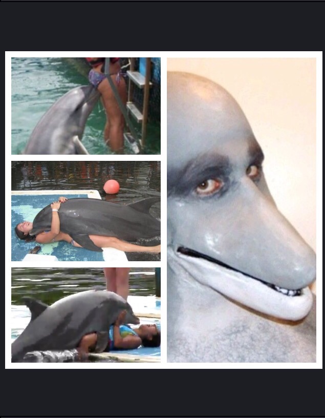 Is all fun and game until a Dolphin Show you who's boss.