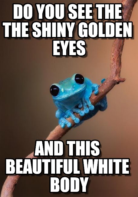 shiny golden eyes and white body