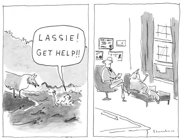 Lassie, get help!