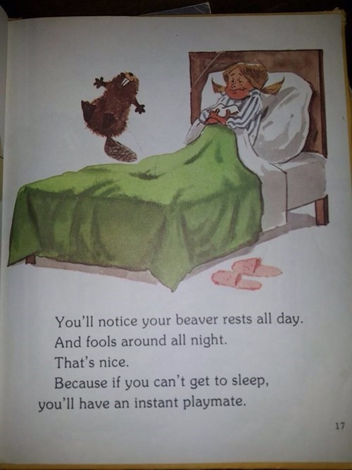 Does your beaver rest all day?