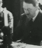 Just Hitler drinking a cup of tea