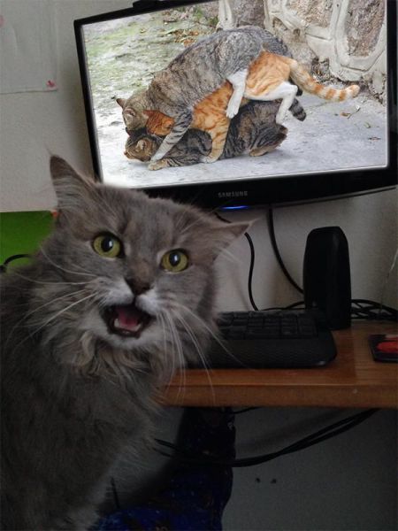 This isn't what it looks like!