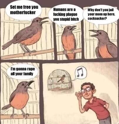 Birds make the most beautiful sounds