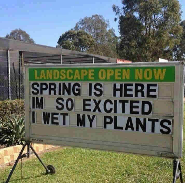 Hooray For Spring!