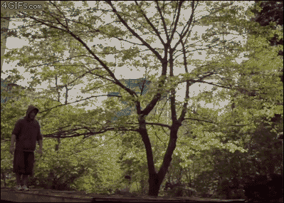 Parkour rolling bomb