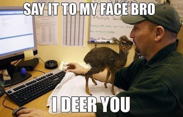 I deer you!