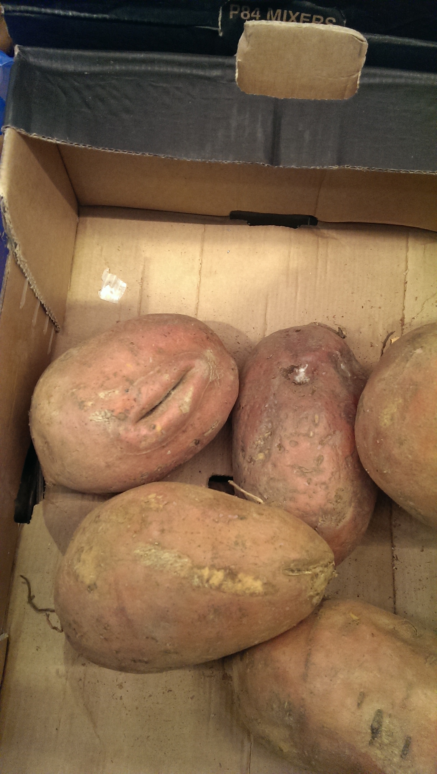 Strangest potato ever?