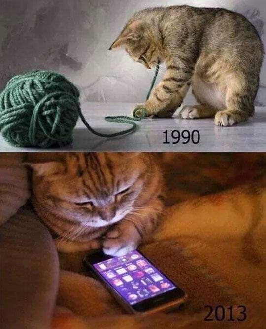 Only 90's cats will understand