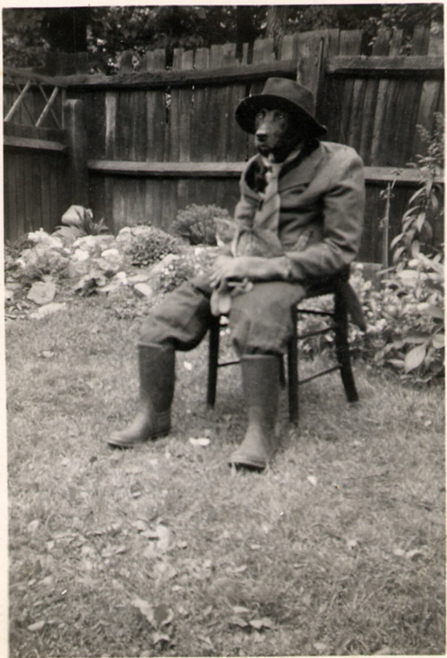 People dressed their pets up in the 1950's too.