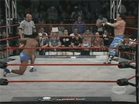 The Art of Wrestling!