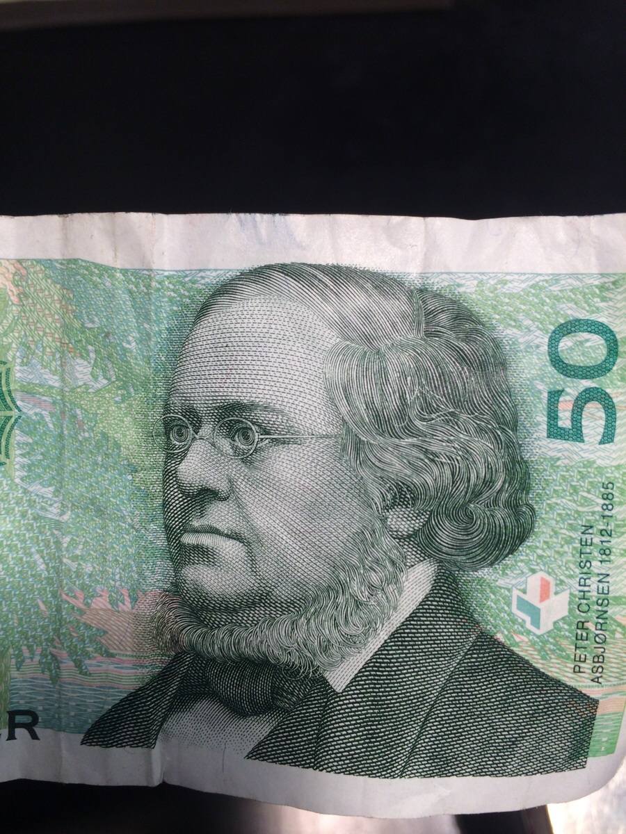 Legendery neckbeard on the norwegian 50kr bill