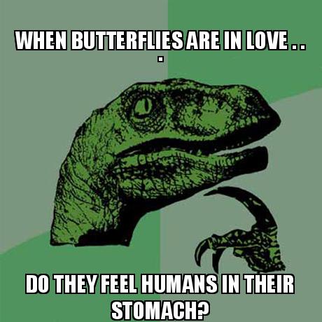 Well do they?
