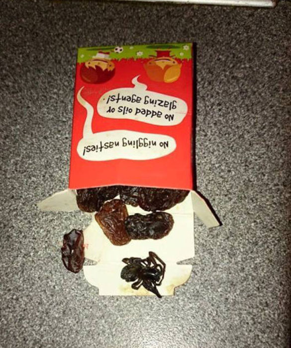 new raisins with extra protein