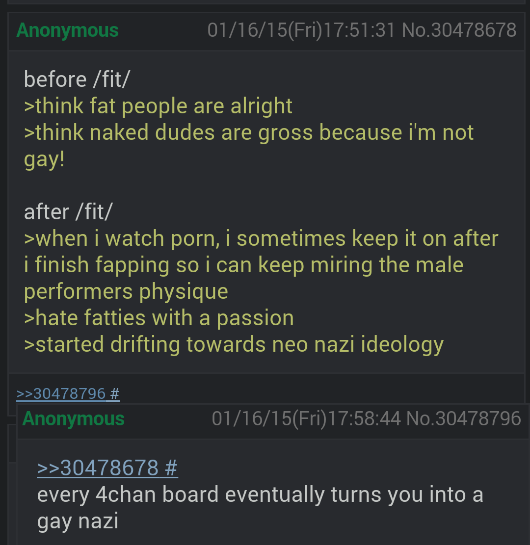 4chan and gay nazis