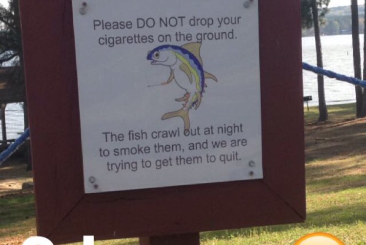 Went to the park today, saw this.