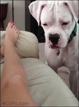 Laser Pointer Safety