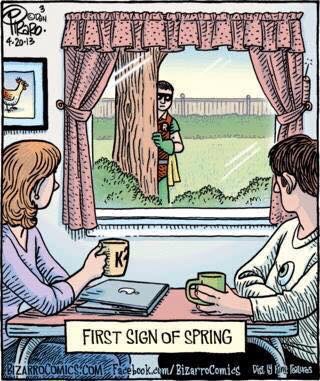 The first sign of spring.