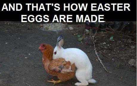 Ever wonder how Easter eggs are made?...