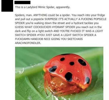 Damn spiders..